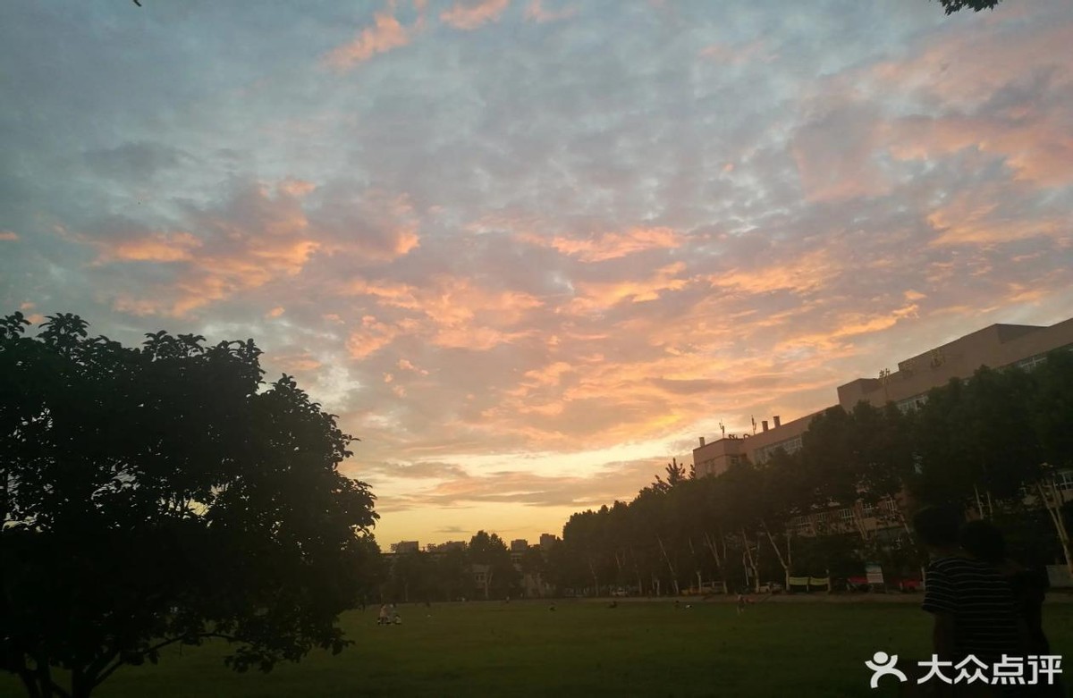 武昌首义学院专升本招生简章2020,湖北专升本武昌首义实时报名人数