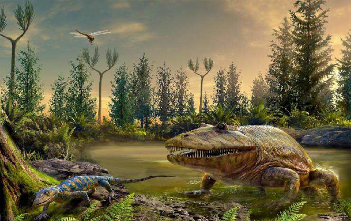 如果沙漠全部变成森林地球会怎样,如果沙漠都变成绿洲地球会怎么样