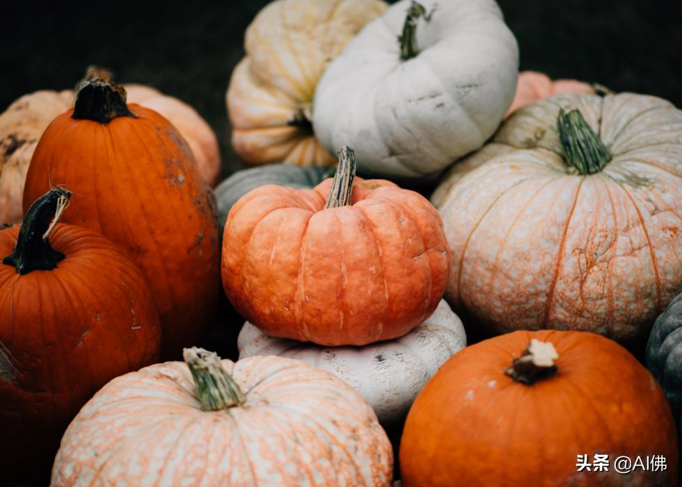 世界上最顶级的五种食物,世界各国特别的饮食文化知识