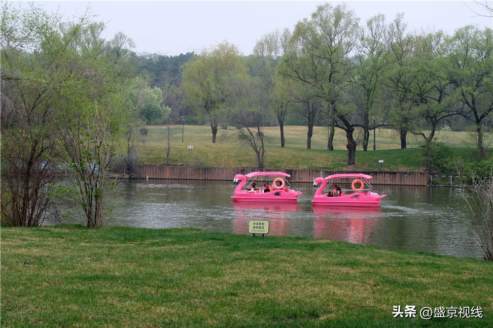 沈阳世博园金秋美景,沈阳世博园一日游详细攻略