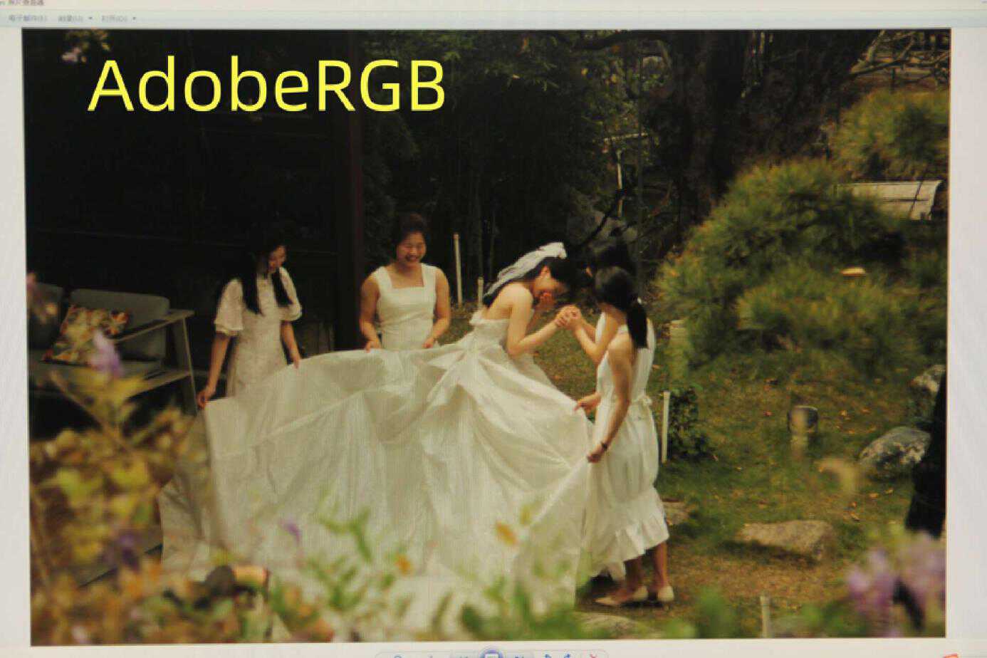 sw240显示器24英寸,sw240显示器价格走向