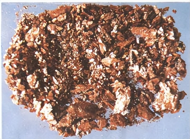 带你识别石斛,带你识别丁香