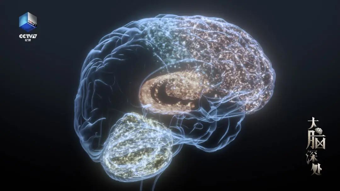 浙江：探索吸毒成瘾人员脱毒治疗方法