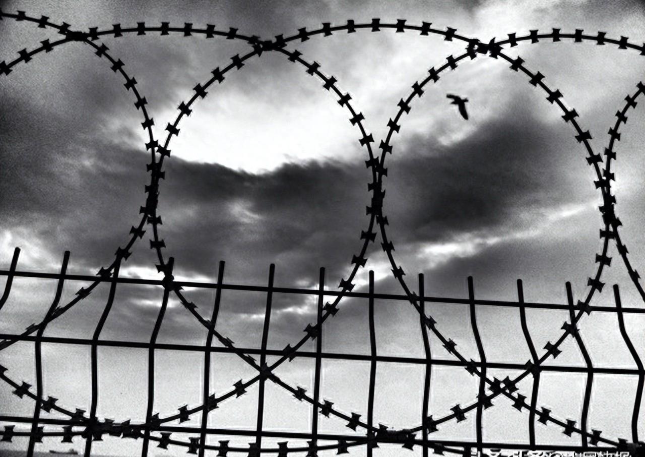 鎭掑ぇ楂樼琚崟,鎭掑ぇ楂樼琚崟浜嬩欢瀵筧鑲$殑褰卞搷