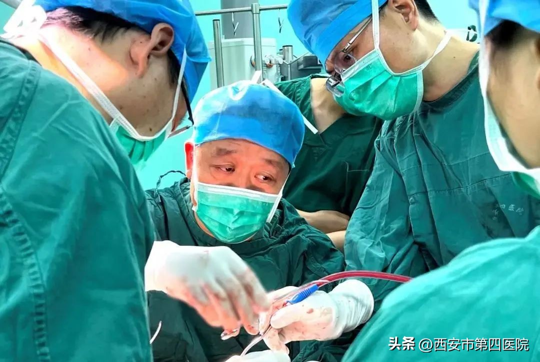 鍋ュ悍绱犲吇鎻愬崌,鍋ュ悍绱犲吇鎻愬崌琛屽姩鏂规