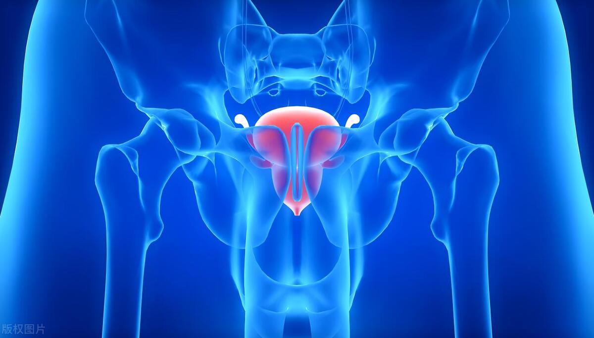 痔疮手术和前列腺有关系吗,检查痔疮时会检查前列腺吗