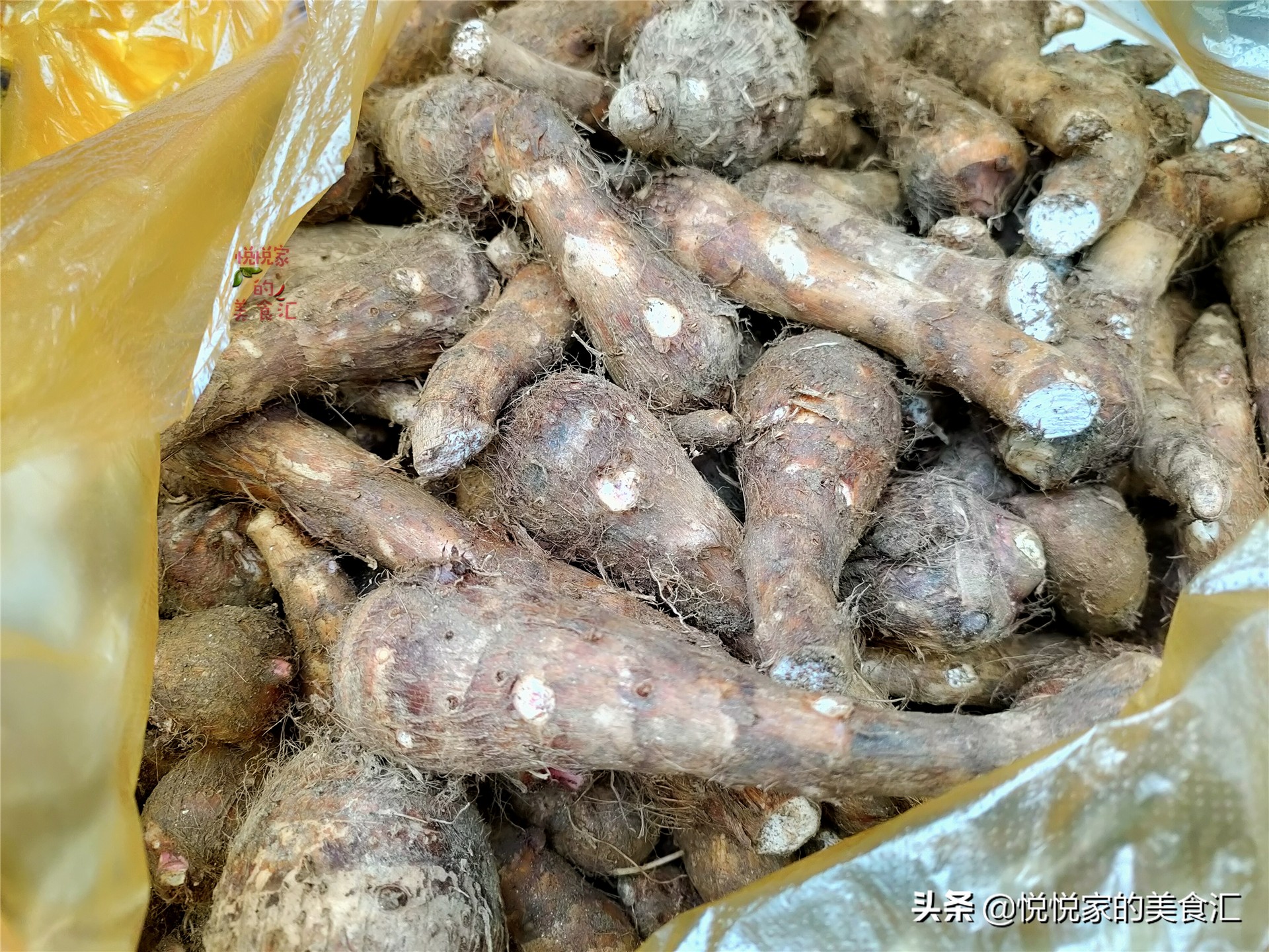 买荔浦芋头攻略,怎样选香芋才是正确的