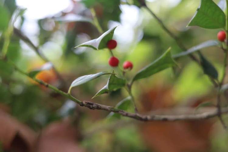 最值得打卡的动物园,国庆必打卡动物园推荐