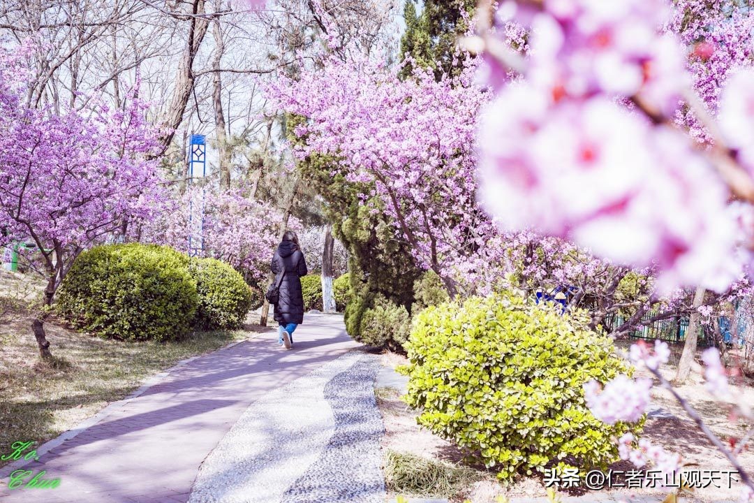 丧家的资本家乏走狗原文,丧家的资本家乏走狗指的是谁