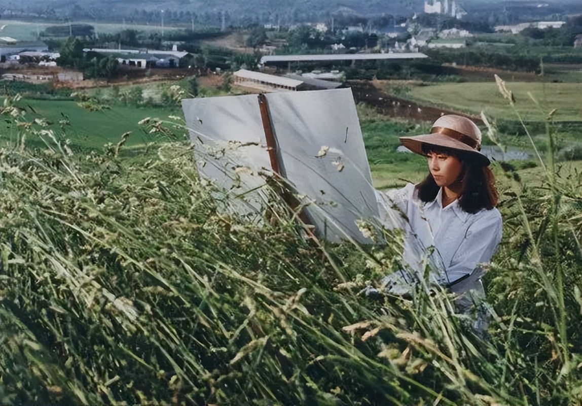 把*欲情**拍到极致的韩国大导演，和他合作过的女演员都甘愿为他献身
