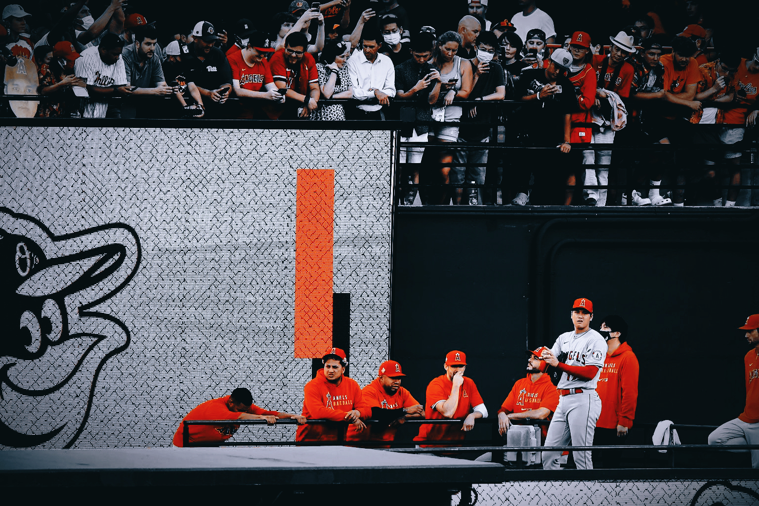 日本棒球入门教学,棒球运动从入门到精通