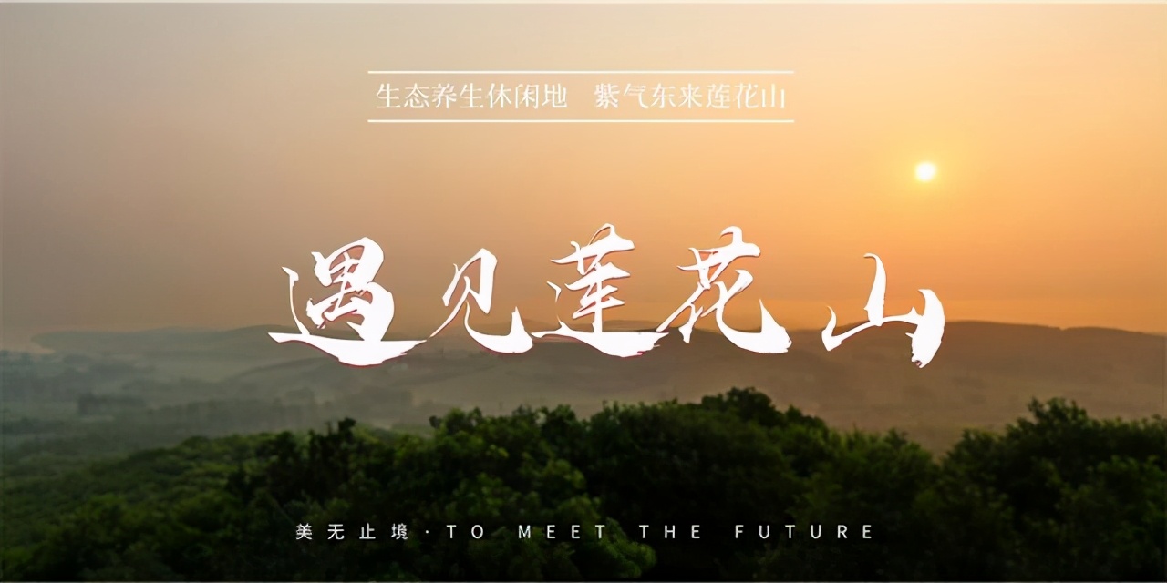 雅迪电动车怎样避雷,购电动车避雷知识大全