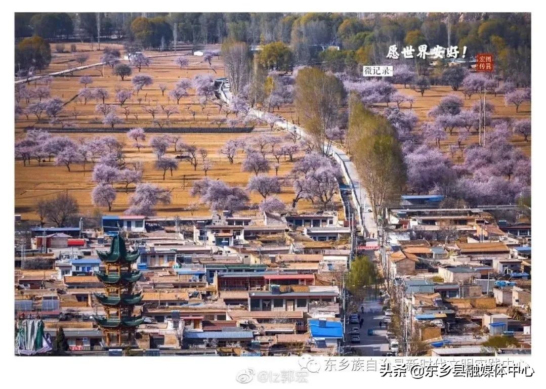 美文欣赏黄山,美文欣赏冬日暖阳