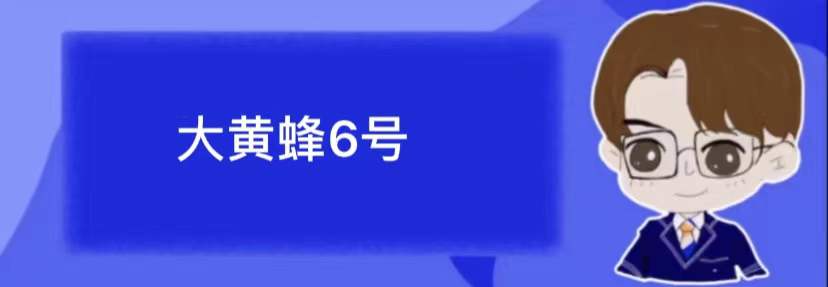 大黄蜂10号终身重疾是个大坑吗,大黄蜂5号重疾有必要组合吗