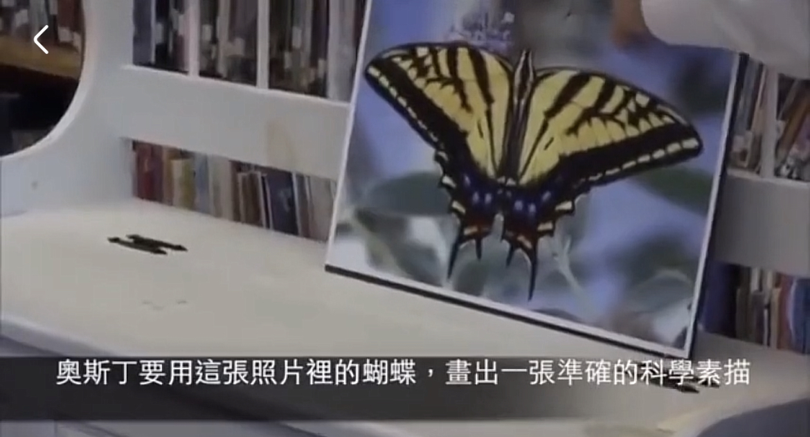 如何培养出自信内心强大的孩子,努力做到增强四个意识