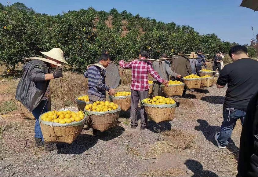 乡村振兴联通公司,中国联通乡村振兴服务方案