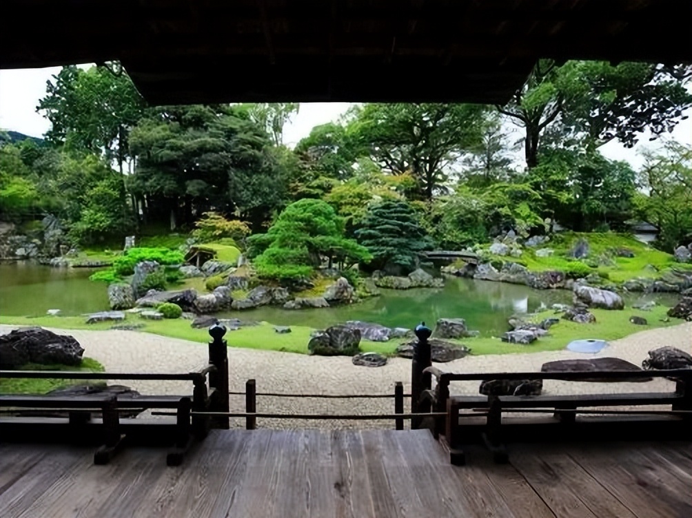 日本枯山水景观,日本枯山水中的树是什么树