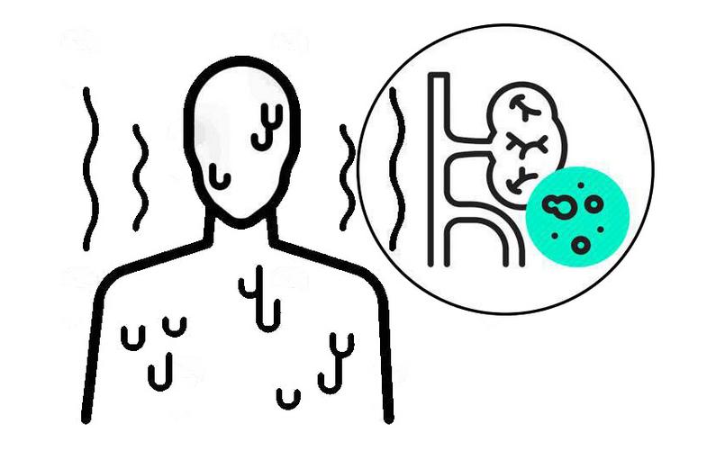 枸杞配合什么可以养肾补肝,枸杞和什么搭配泡酒养肾最好