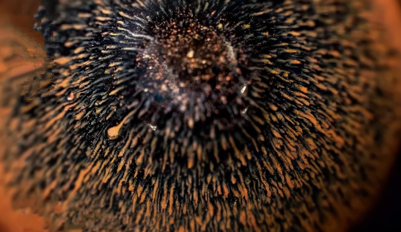 为什么建盏喝茶口感更好,建盏喝茶的好处和缺点