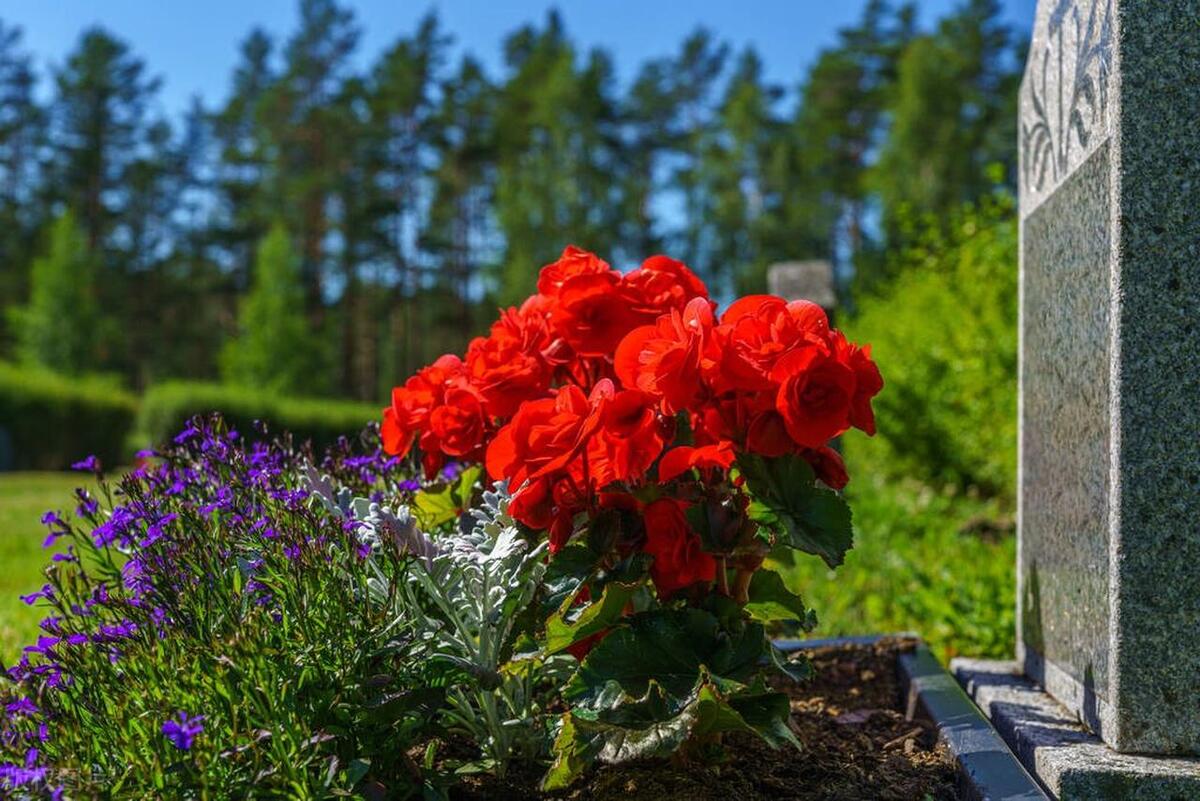 家中出三象子孙出贵子,一家人有三象是什么预兆