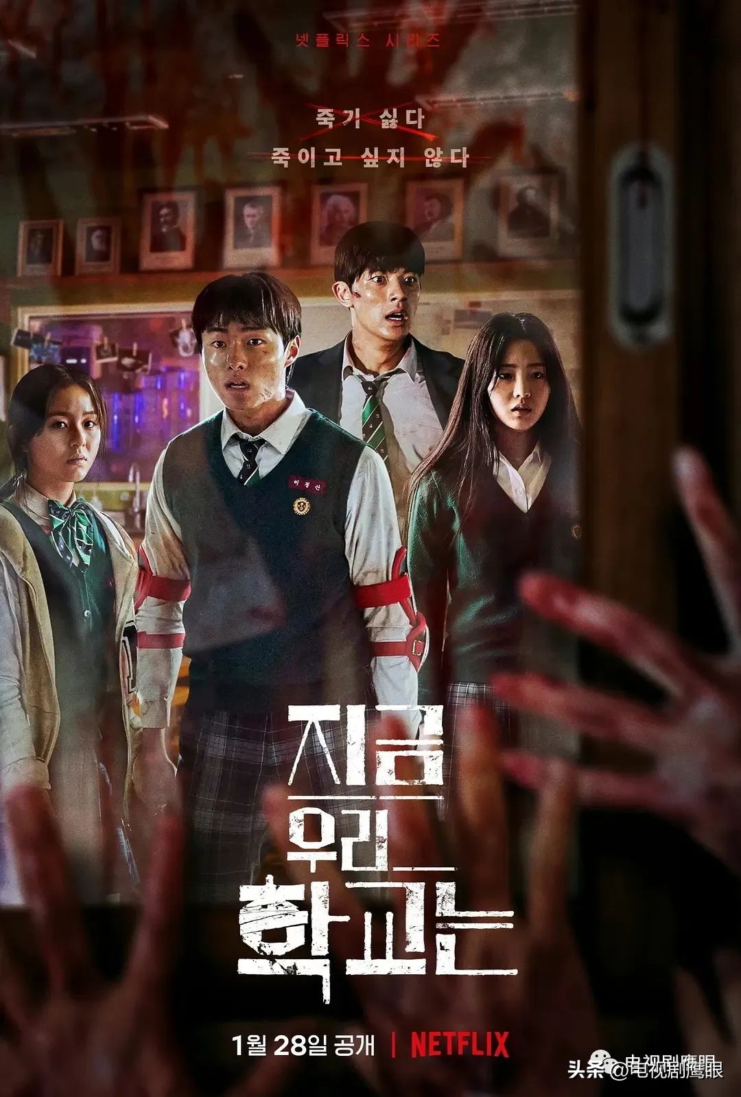 netflix韩国综艺节目,netflix为什么叫netflix