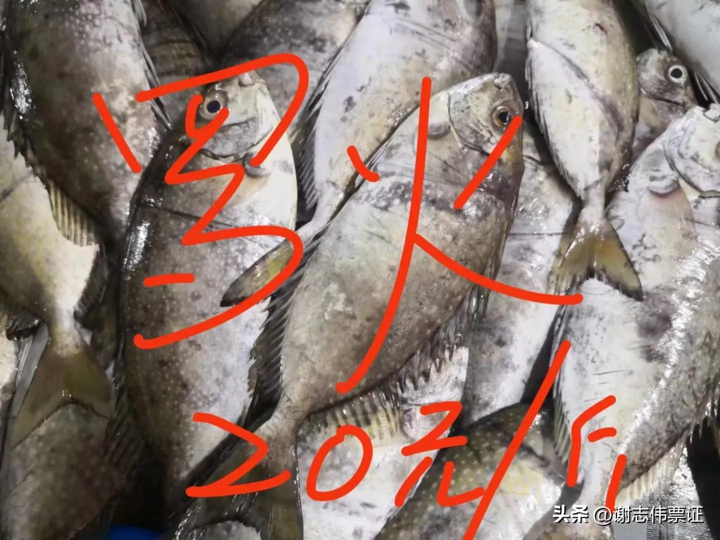 海南风情（015）上埇村海鱼价目知多少