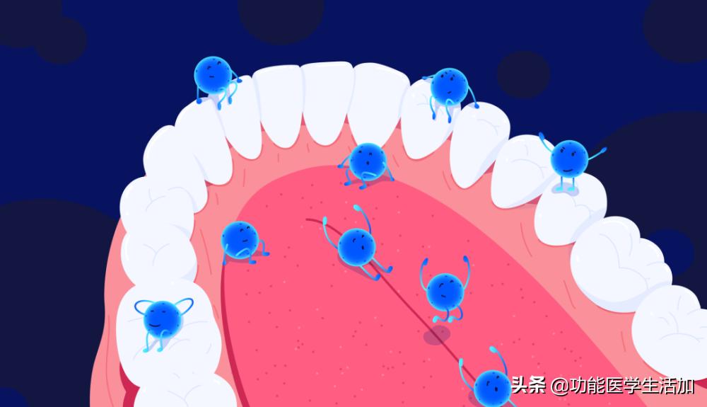 口腔菌群紊乱对身体的危害,怎么培养健康的口腔菌群