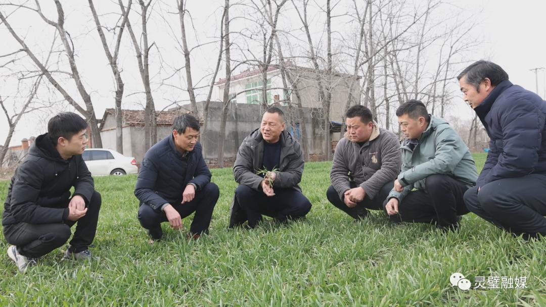 人勤春来早春耕正当时图片,人勤春来早春耕正当时现场报道