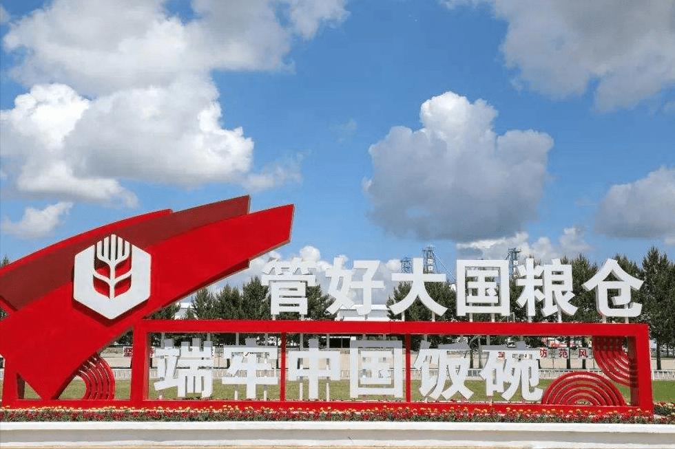 中粮集团年营收和利润,中粮营收