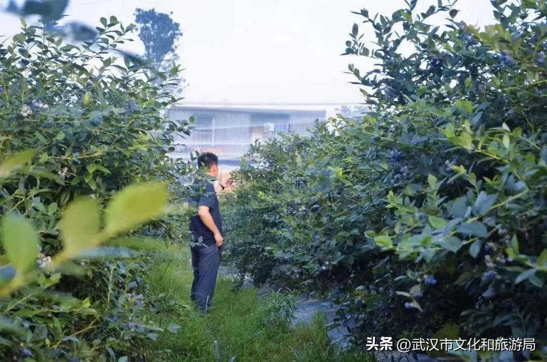 端午游攻略视频,端午出行攻略视频