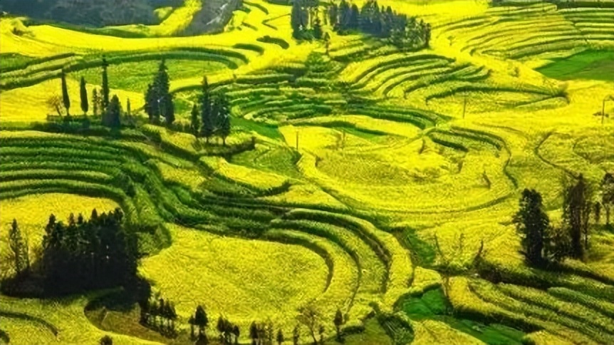 怎么谈地区项目开发,乡村项目的几种开发模式