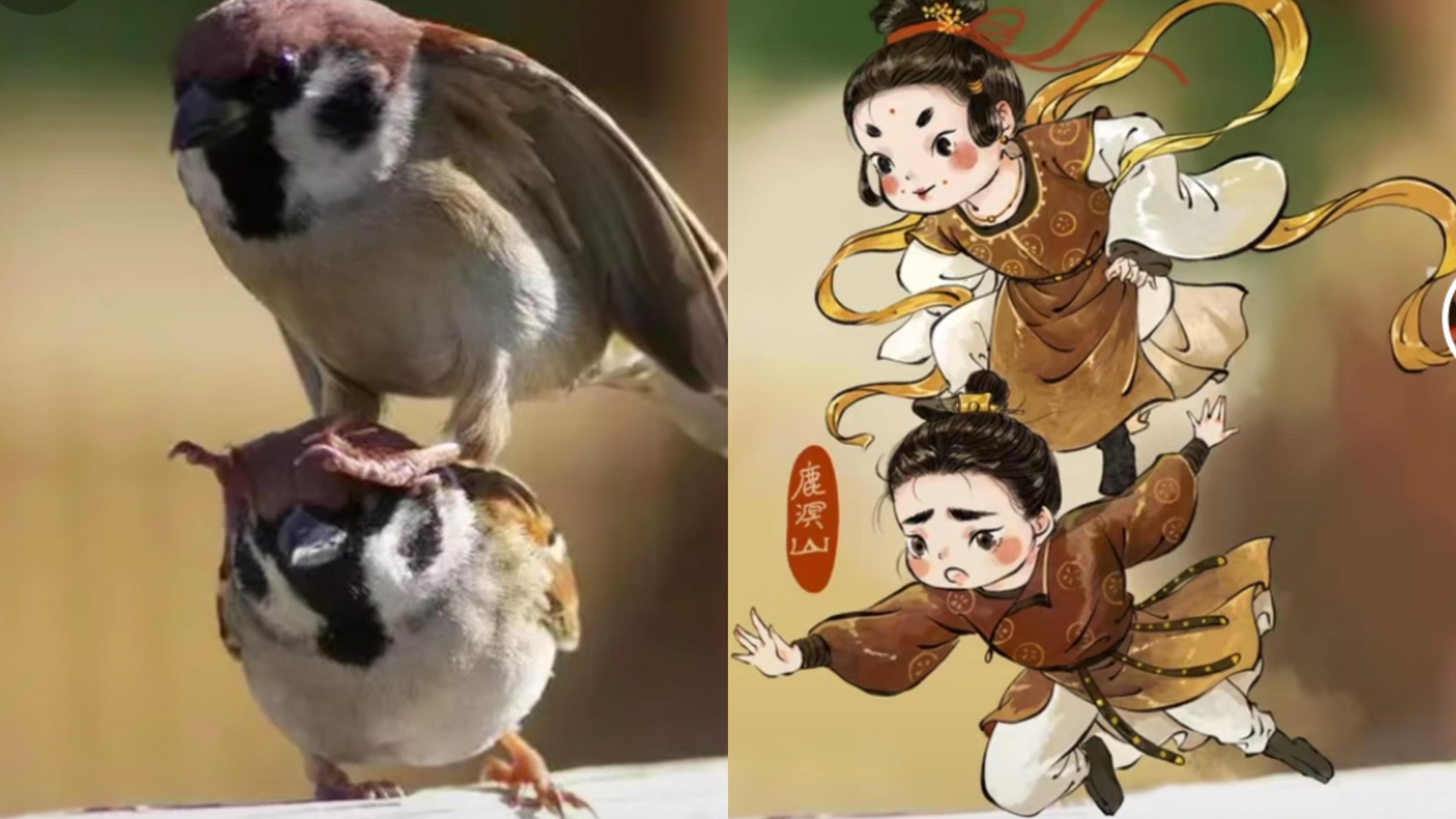 贵州女孩学医,贵阳女孩子学医