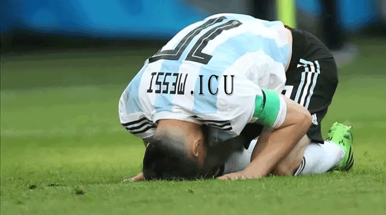 未来欧洲杯预测,本届欧洲杯你看好哪一个