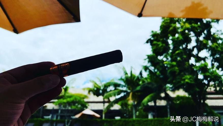 张默抽什么牌子雪茄,张默在国外抽的雪茄多少钱一支
