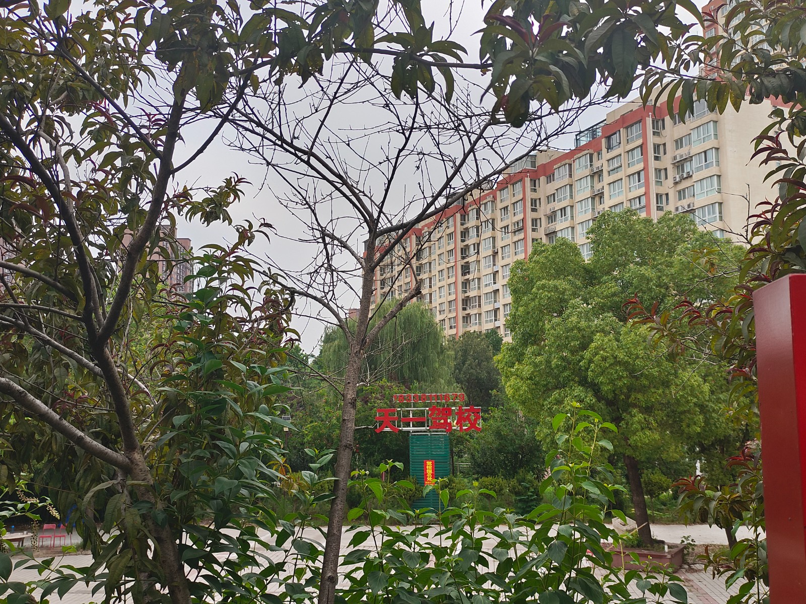 市民反映南阳一游园被驾校“占领”驾校喊冤：这是从小区租来的