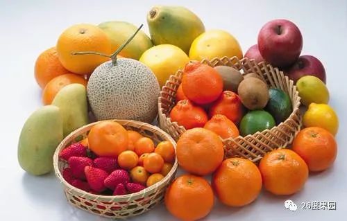 26哥的直播间,26哥视频