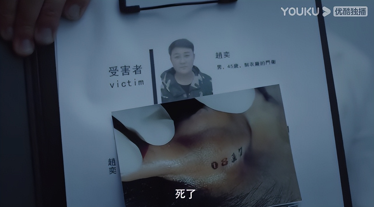 真相国产悬疑,国产悬疑系列解析