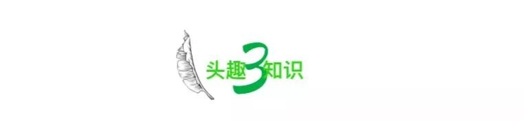 热搜上“喝水都不自由的抠门公司”事件,揭开了打工人到底有多难