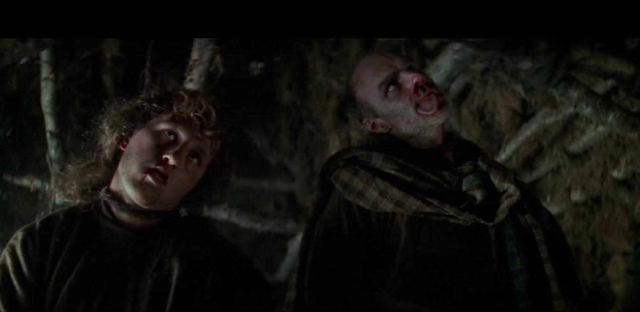 勇敢的心电影影评800字,电影勇敢的心感悟