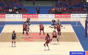 袁心玥26,王媛媛袁心玥得分