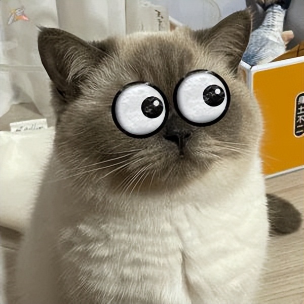 贩剑表情包评论区,贩剑表情包不回消息