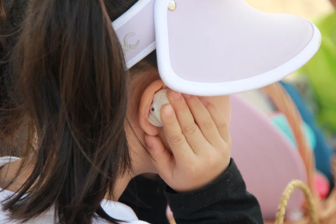 2023阿那亚系列夏令营|来海边过暑假，N多主题，自在探索，成长一夏