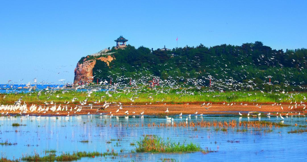 今年最大超级月亮今夜登场,河北邯郸超级月亮