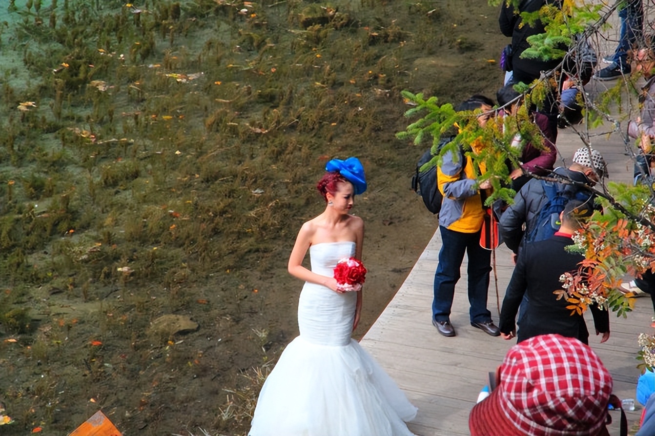 四川成都旅游导游服务,四川成都五日游自由行攻略