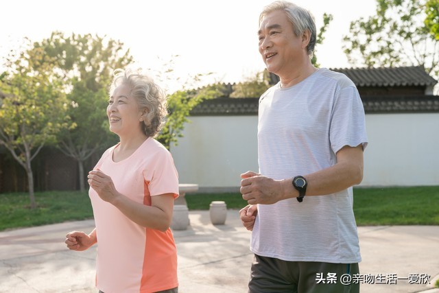 养脾胃最简单有效的食物,养脾胃有好处的食物有哪些