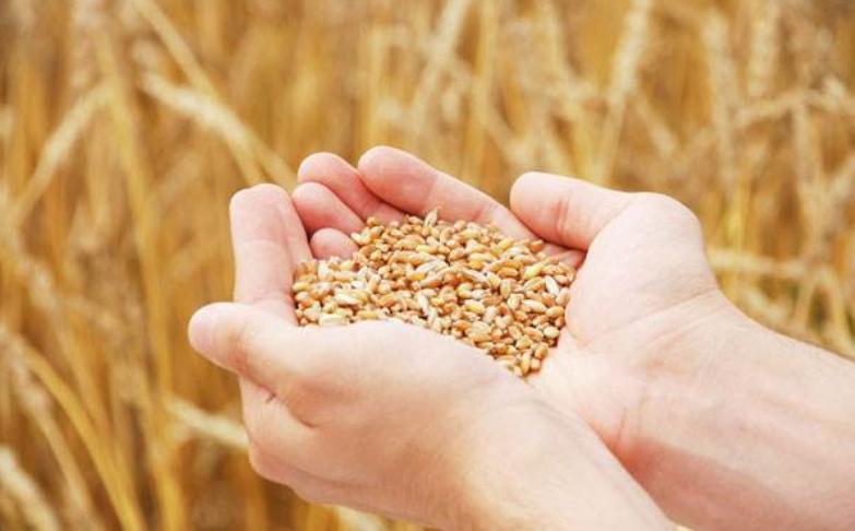 一位日本人对中国经济的精准分析,一个日本人对中国经济的精准分析