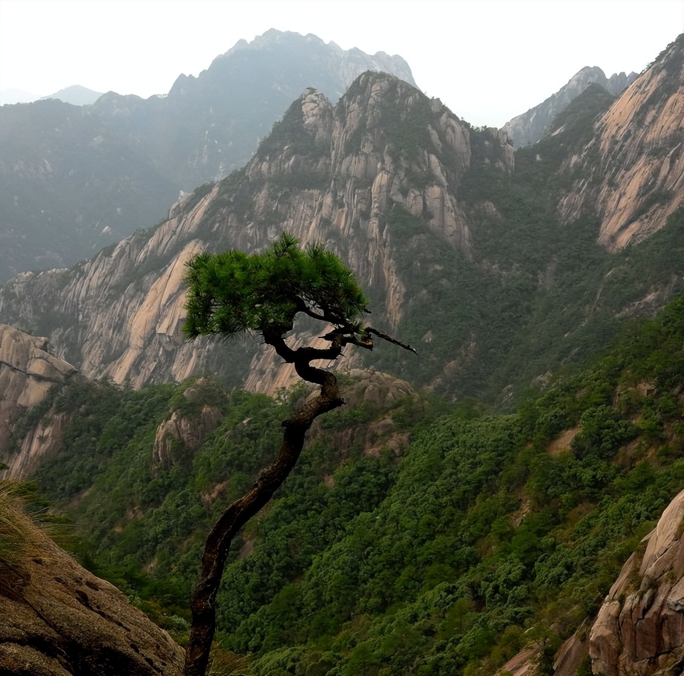 黄山慈光阁到玉屏楼步行多久,爬黄山从慈光阁开始的攻略
