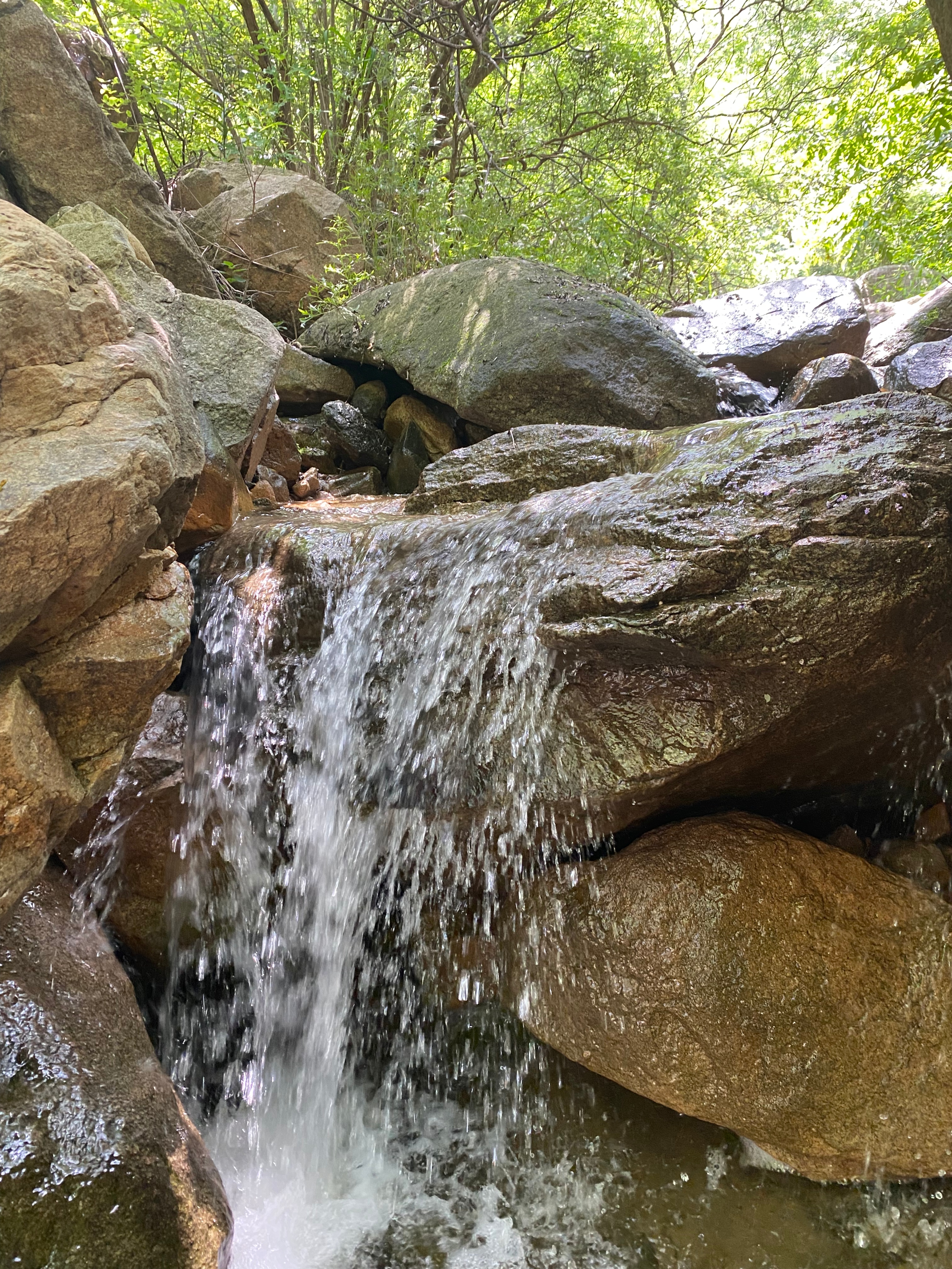 天津春天亲子徒步旅游路线推荐,天津户外徒步一日游推荐