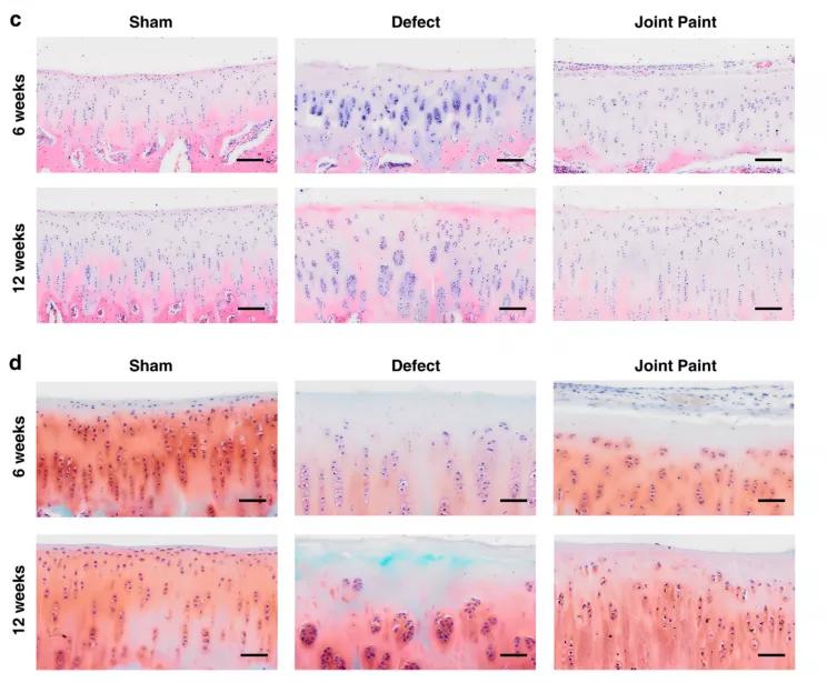 浙大研发新型涂层材料,浙大新型保温涂料