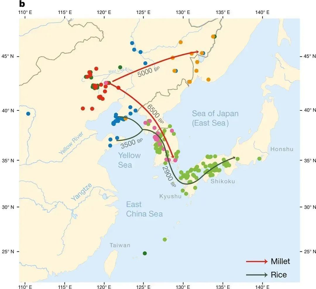 日韩语是中文演变的吗,日韩语都是借鉴中文的吗